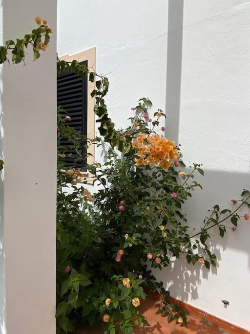 Albufeira Falesia Beach Apartment Экстерьер фото